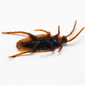 Halloween Simulation Cockroach Tidy Funny Disgusting Scary Toys (Option: Cockroach-1 pcs)