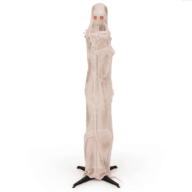 6FT Halloween Decorations With LED Red Glow Eyes (Option: As picture)