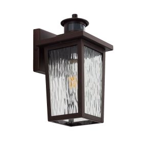 Motion sensor outdoor wall light (Pack: 1 Pack)